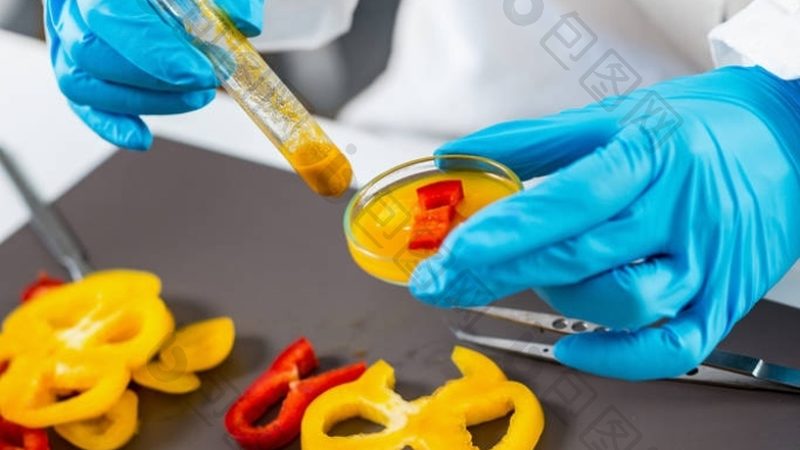 速冻食品冷链物流：保障食品安全的关键环节